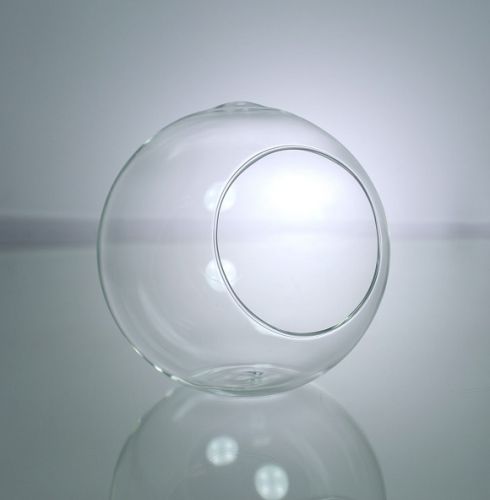 Bubble Bowl Terrarium 3.5